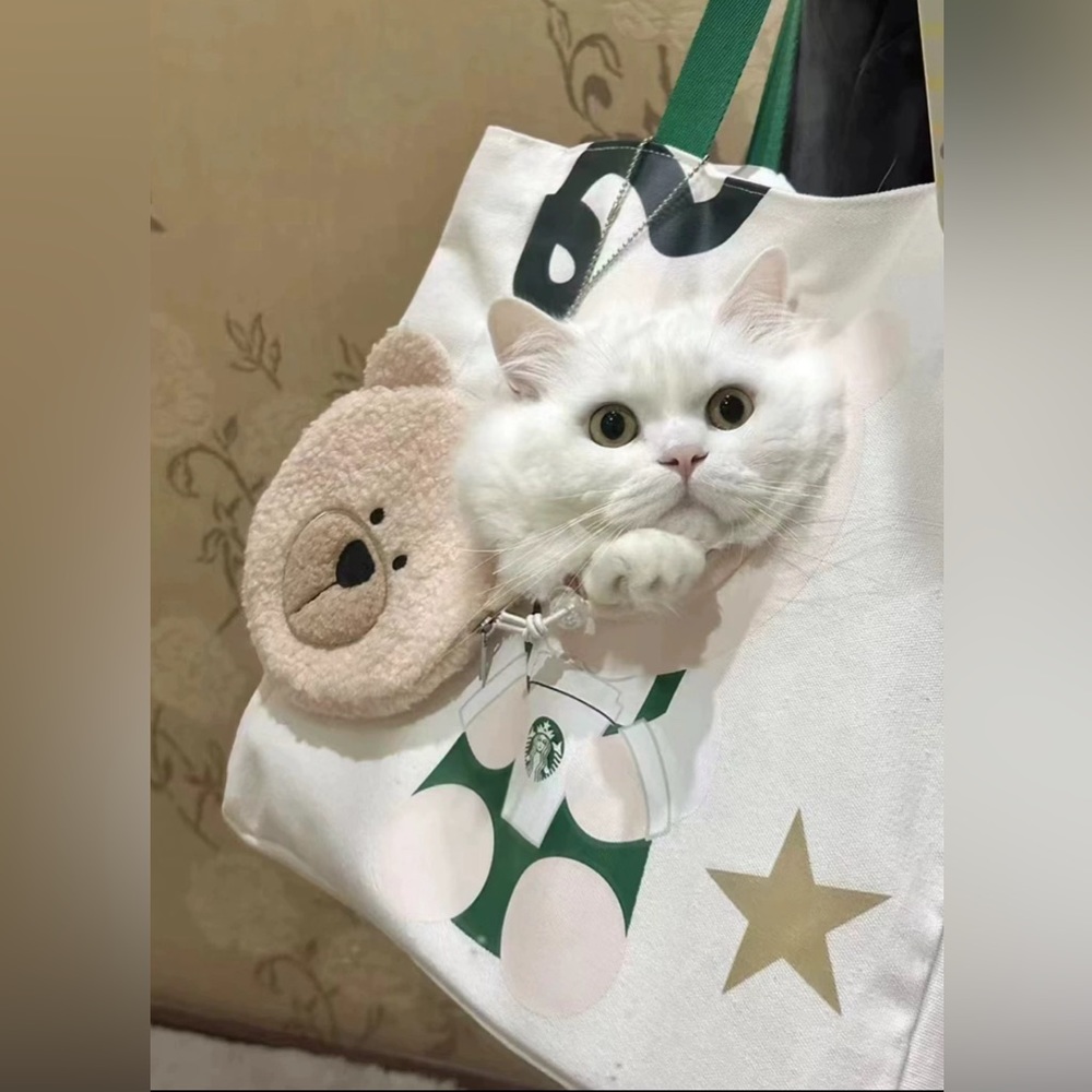 Starbucks Pet Tote
